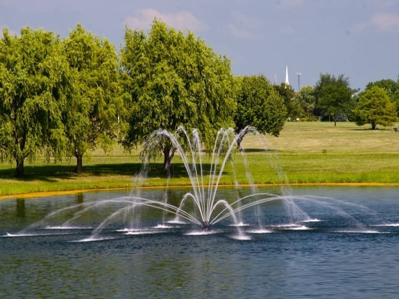 spider arch spider arch